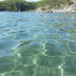 Dolphin Sarigerme