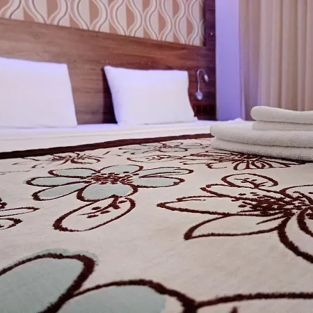 ドルフィン サルゲルメ