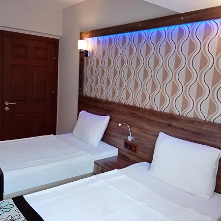 ドルフィン サルゲルメ