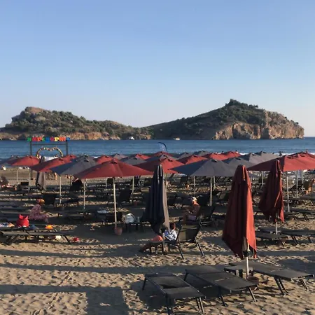 ドルフィン 3* サルゲルメ