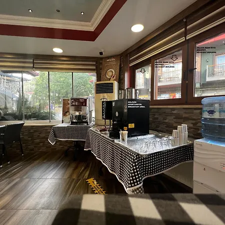 ドルフィン サルゲルメ