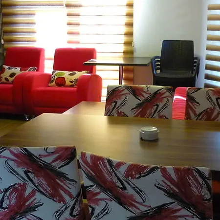 ドルフィン サルゲルメ