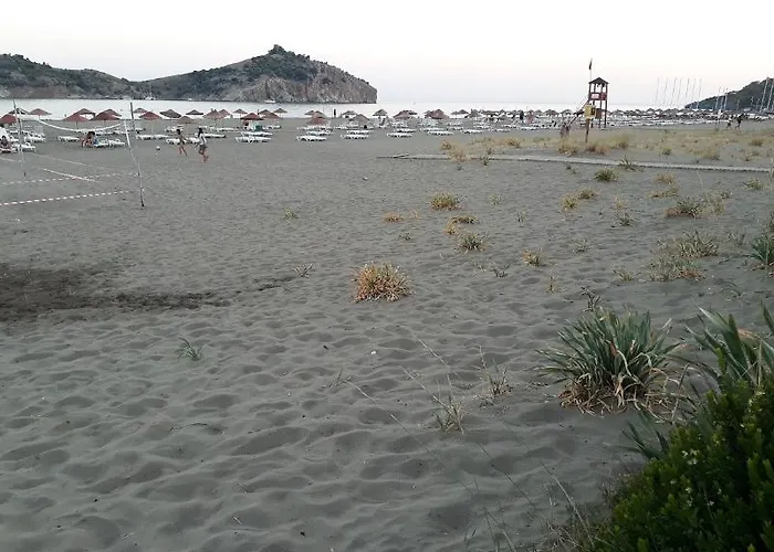 Aparthotel Dolphin 3*