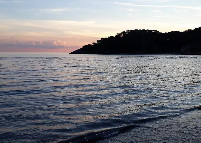 Aparthotel Dolphin 3*