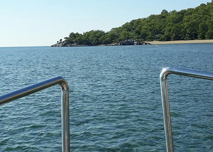 Dolphin Саригерме