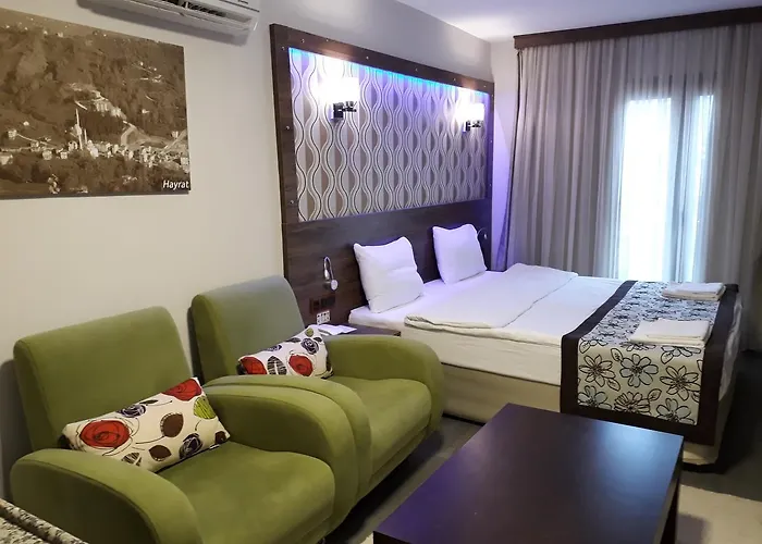 Dolphin 3* Саригерме