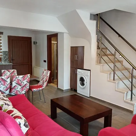 دولفين أبارت