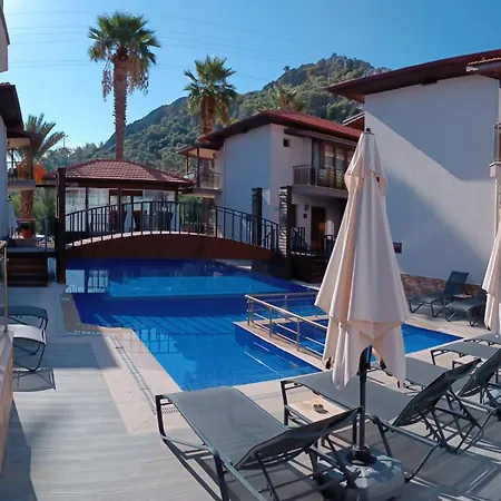 دولفين أبارت 3*