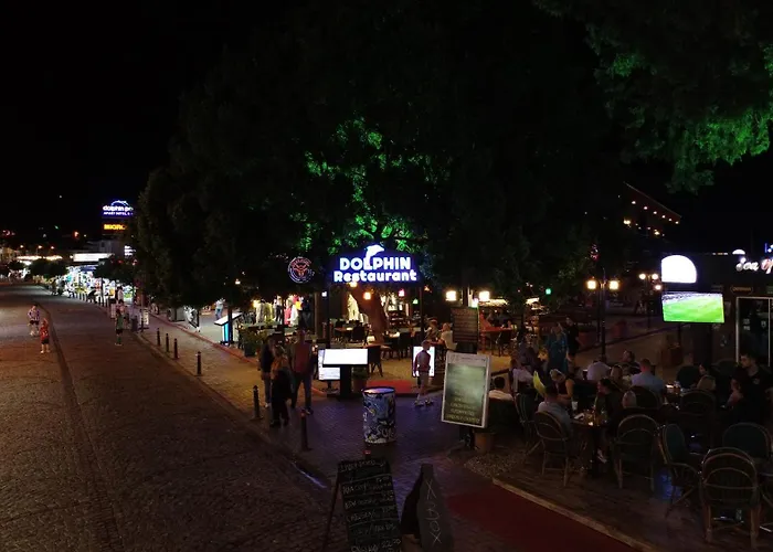 Lägenhetshotell Dolphin 3*