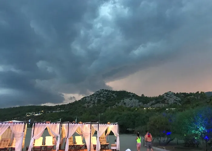 Dolphin Саригерме