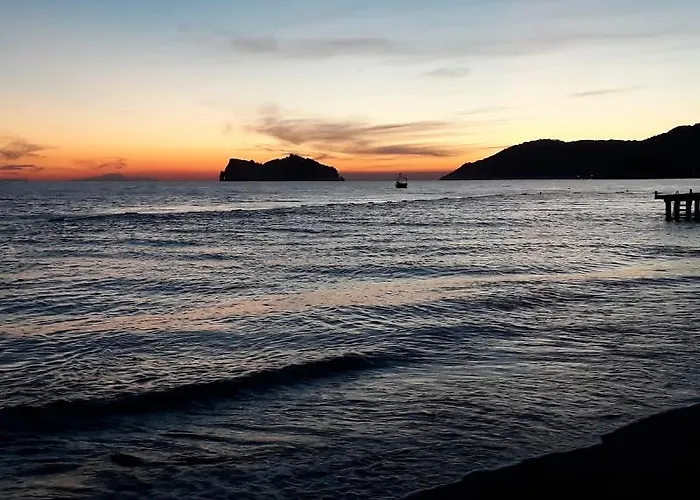 Dolphin 3* Саригерме