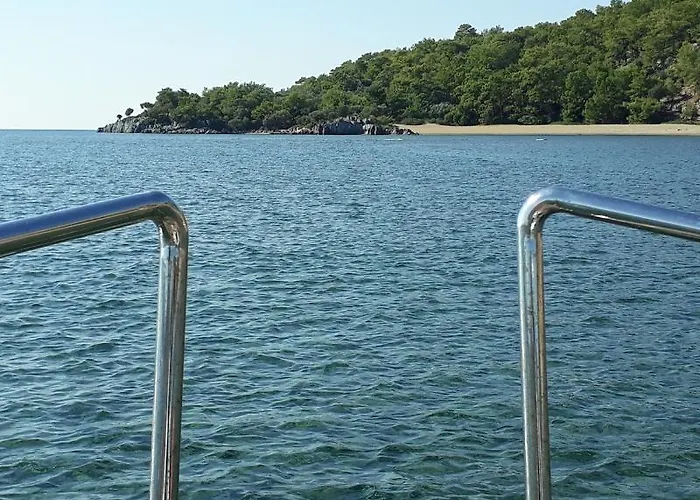 Dolphin 3* Саригерме